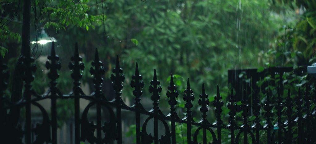 regen- en hitte bestendige tuin