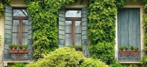 lees hier de voordelen van een groen huis