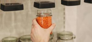 zero waste leven