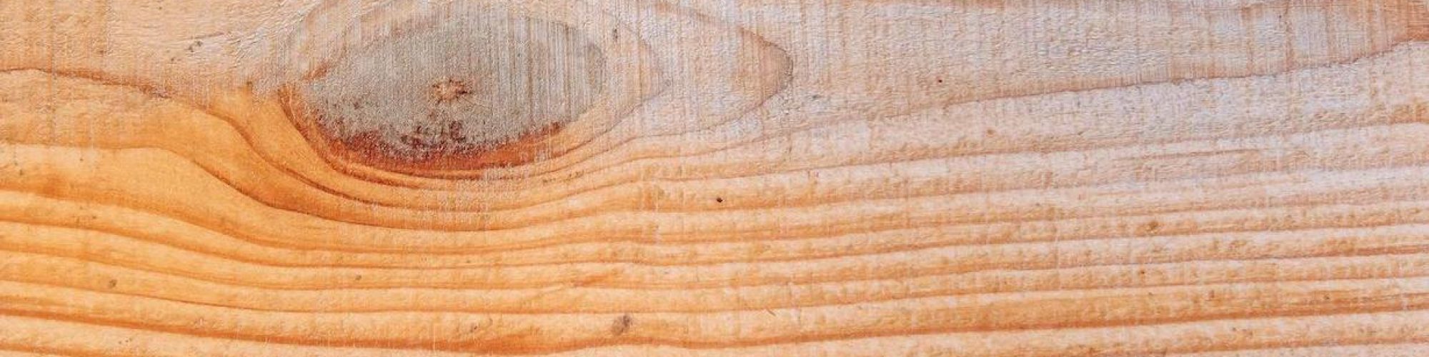 Blog-Bax-hout.jpg