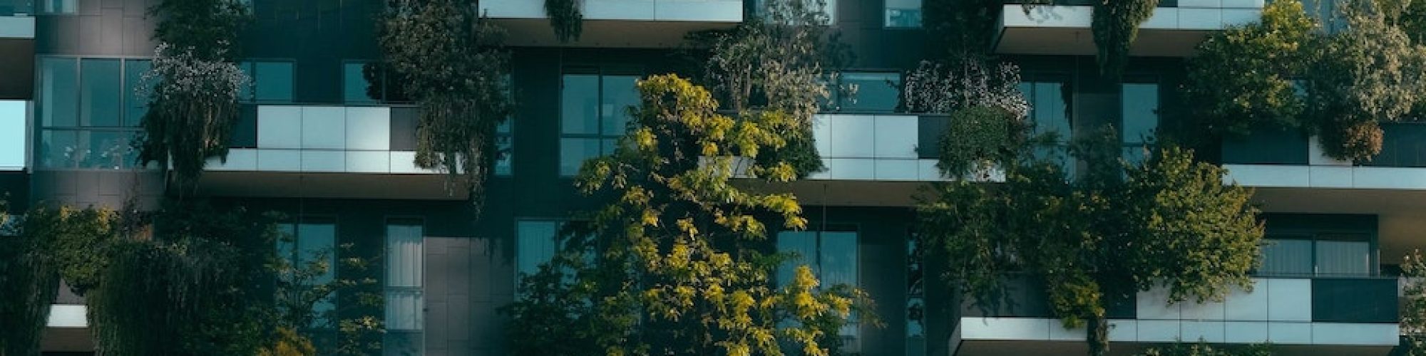 Groen-huis.jpg