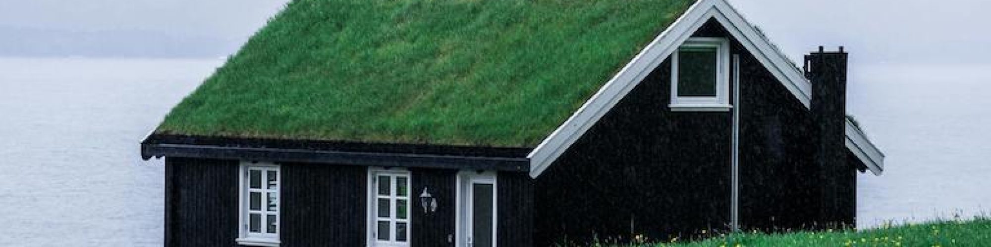 groene-daken.jpg