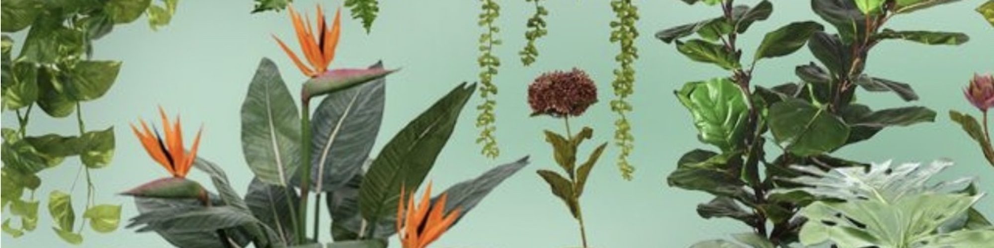 kunstplanten.jpg