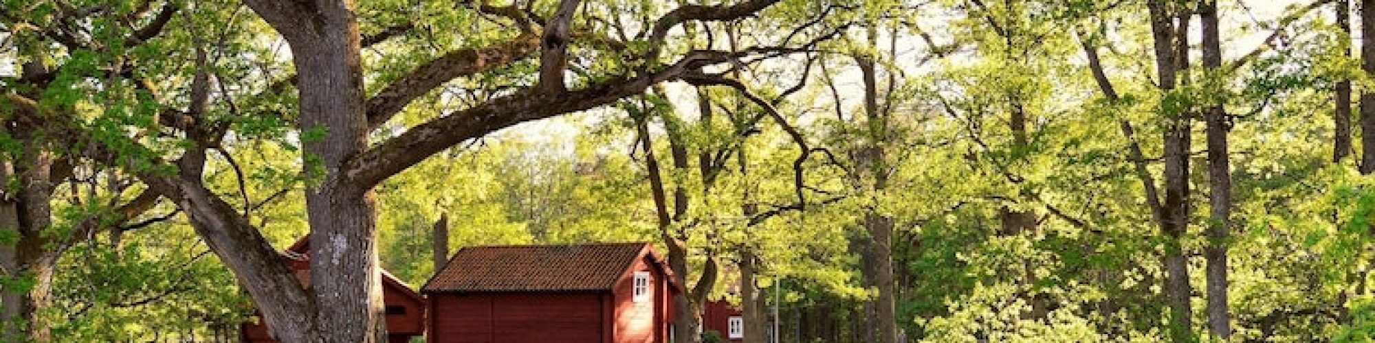 voordelen-duurzamer-leven-header-foto.jpg