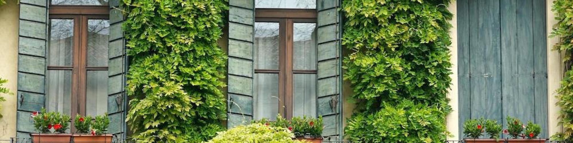 voordelen-van-een-groen-huis.jpg